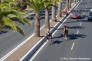 Carreras de caballo de las fiestas de San Juan 2018 de Telde (Foto Francisco Javier Santana)